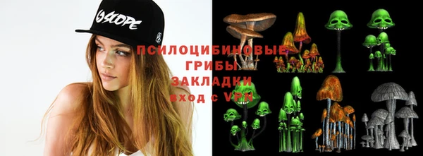 гашик Арсеньев