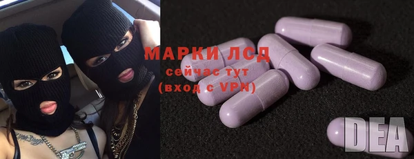 гашик Арсеньев