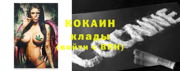 гашик Арсеньев