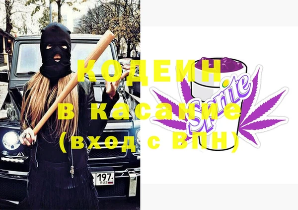 гашик Арсеньев
