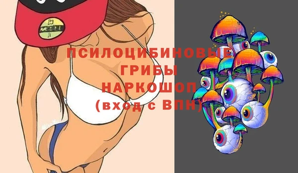 гашик Арсеньев