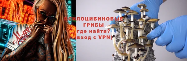 гашик Арсеньев