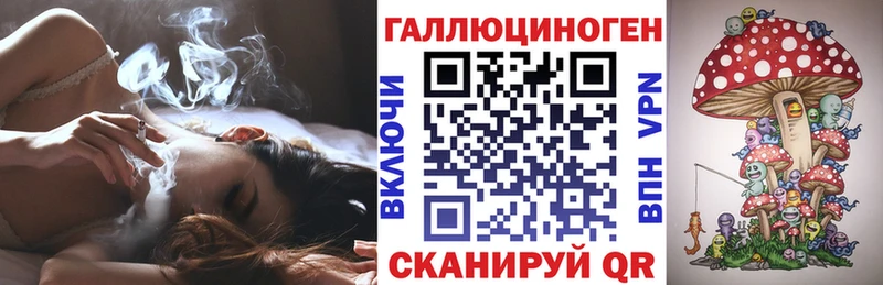 купить  цена  Кондопога  Псилоцибиновые грибы Psilocybe 