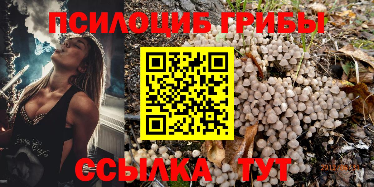 Галлюциногенные грибы ЛСД Кондопога