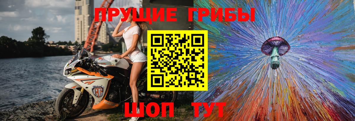 Кондопога  Галлюциногенные грибы Psilocybine cubensis  Вход с VPN 